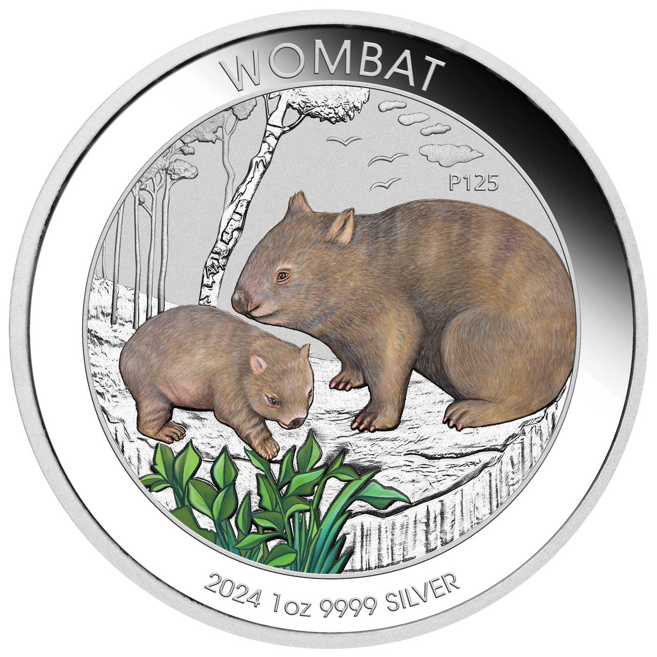 2024 Australian Wombat - 1oz Silver Coloured Coin