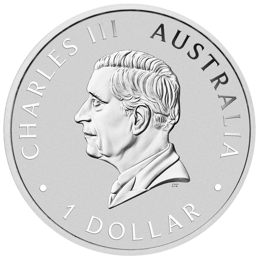 2024 Australian Wombat - 1oz Silver Coloured Coin