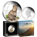 2024 Australian Quokka - 1oz Silver Proof Coloured Coin