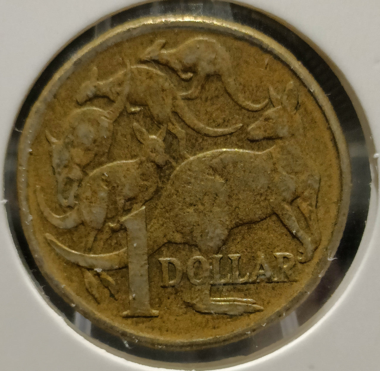 2000 AUSTRALIA $1 "MULE" ERROR COIN
