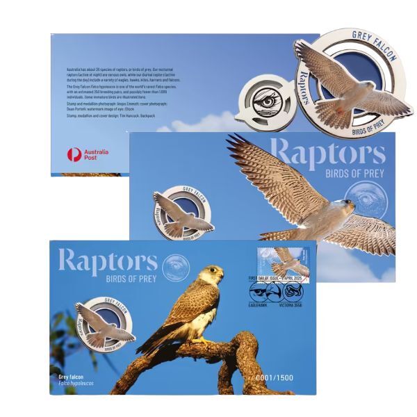 2025 Raptors Birds of Prey - Grey Falcon