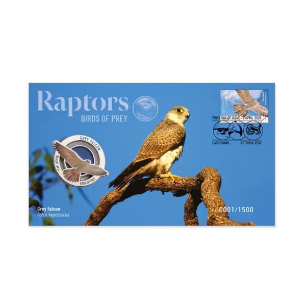 2025 Raptors Birds of Prey - Grey Falcon
