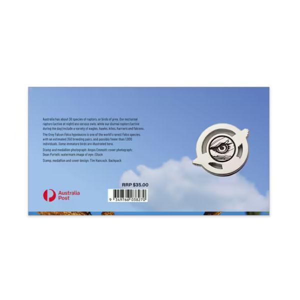 2025 Raptors Birds of Prey - Grey Falcon