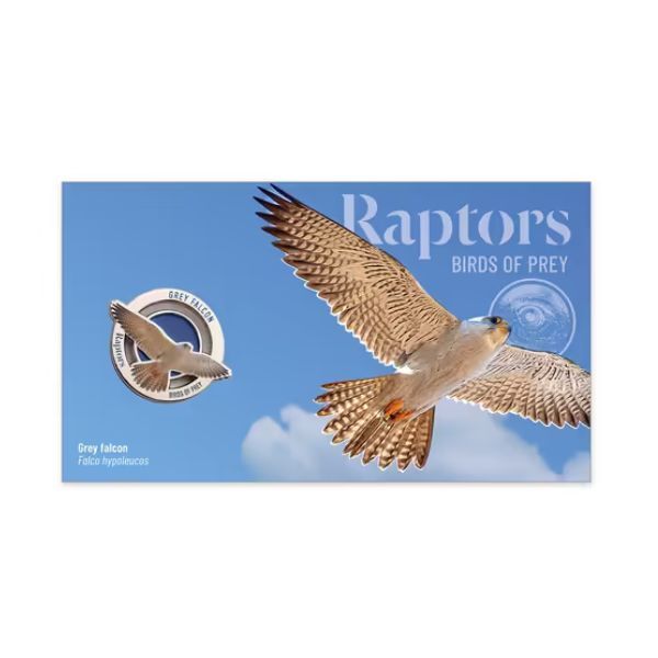 2025 Raptors Birds of Prey - Grey Falcon