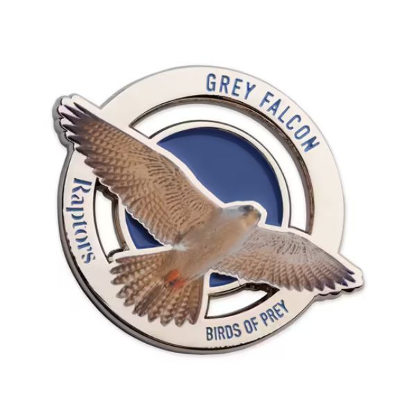 2025 Raptors Birds of Prey - Grey Falcon
