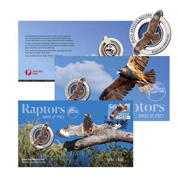 2025 Raptors Birds of Prey - Black-breasted Buzzard PMC