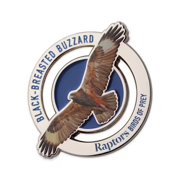 2025 Raptors Birds of Prey - Black-breasted Buzzard PMC