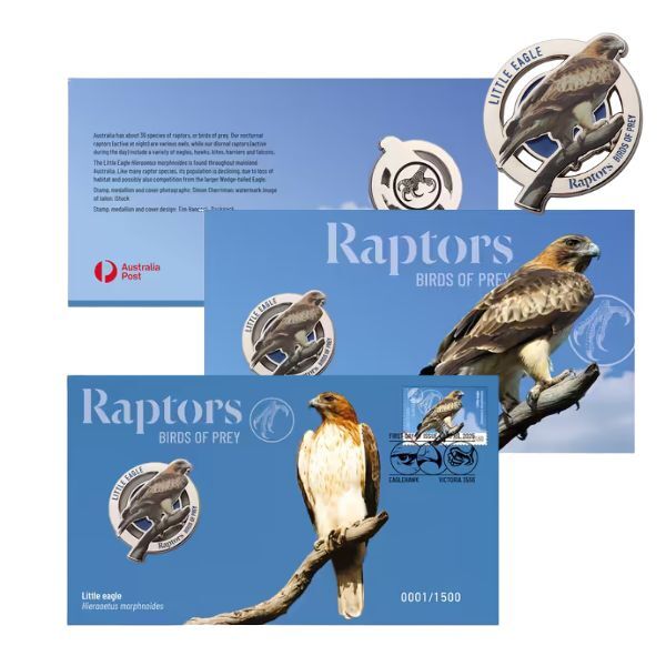 2025 Raptors Birds of Prey - Little Eagle PMC