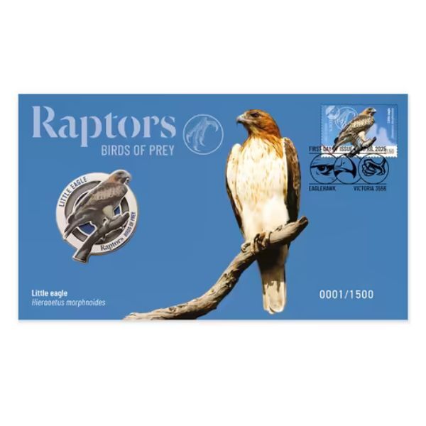 2025 Raptors Birds of Prey - Little Eagle PMC