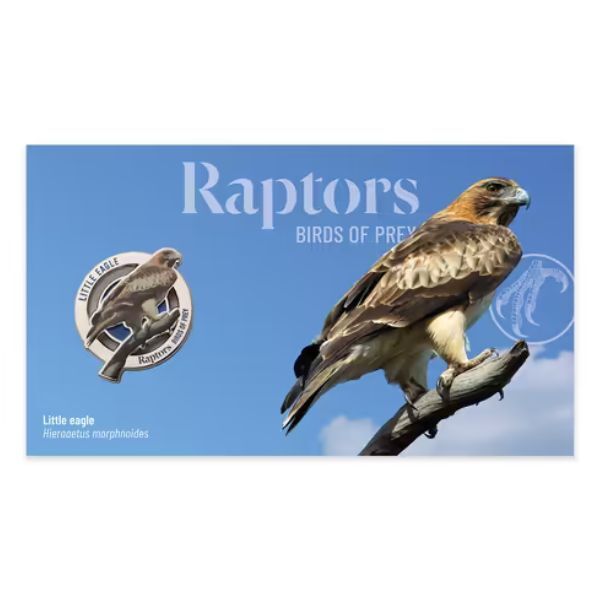 2025 Raptors Birds of Prey - Little Eagle PMC