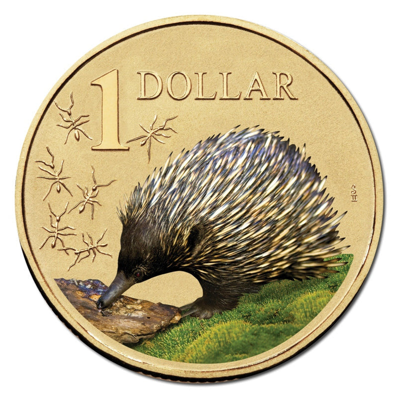 2008 Land Series - Echidna $1 Al/Bronze UNC Coin