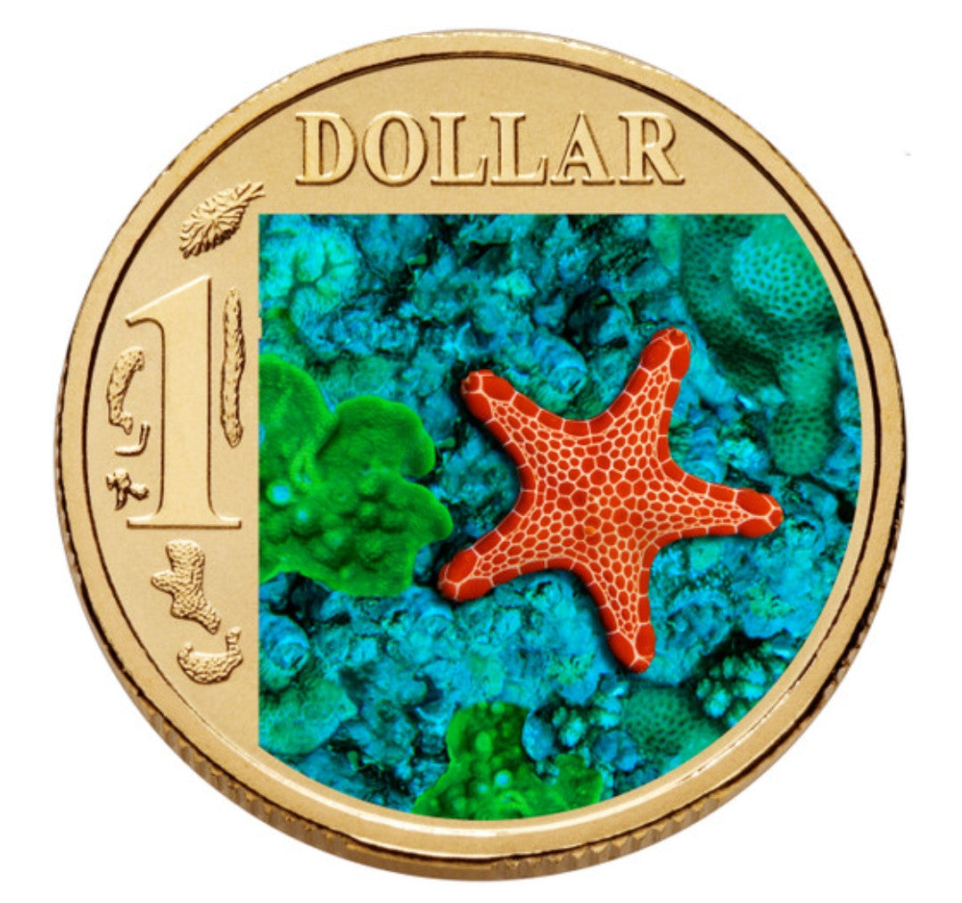 2007 Ocean Series - Biscuit Star Fish $1 Al/Bronze UNC Coin