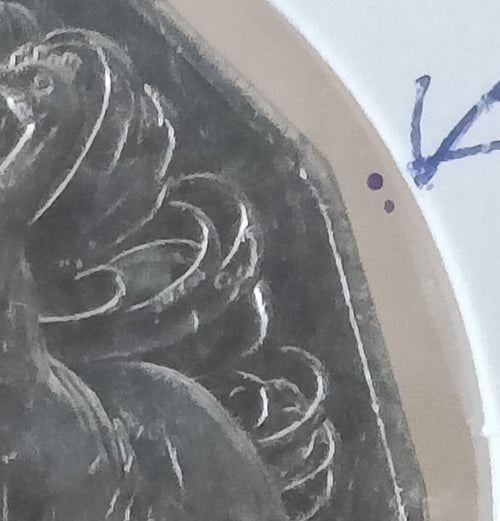 ***ERROR*** 2012 Australian Error Coin - 50 Cents Bubble Error