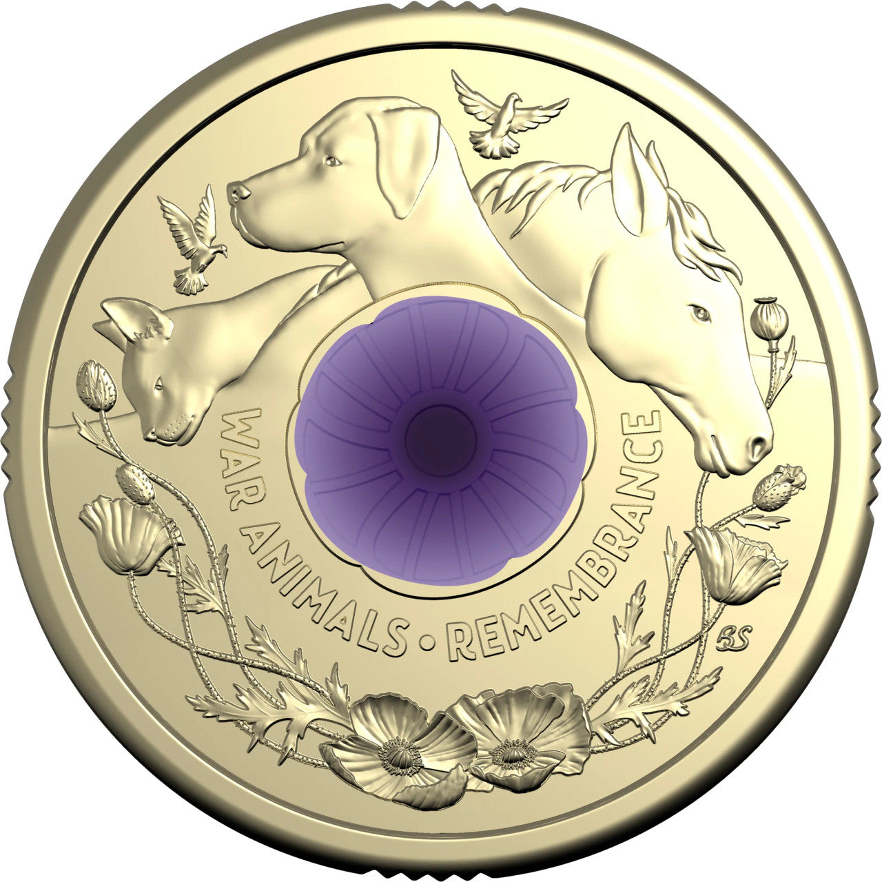 2024 Purple Poppy $2 Coin in card