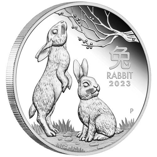 Year of the Rabbit 2023 1/2oz Silver Proof Coin