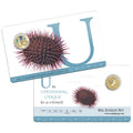 2015 $1 Coloured Frosted Uncirculated Coin Letter "U"