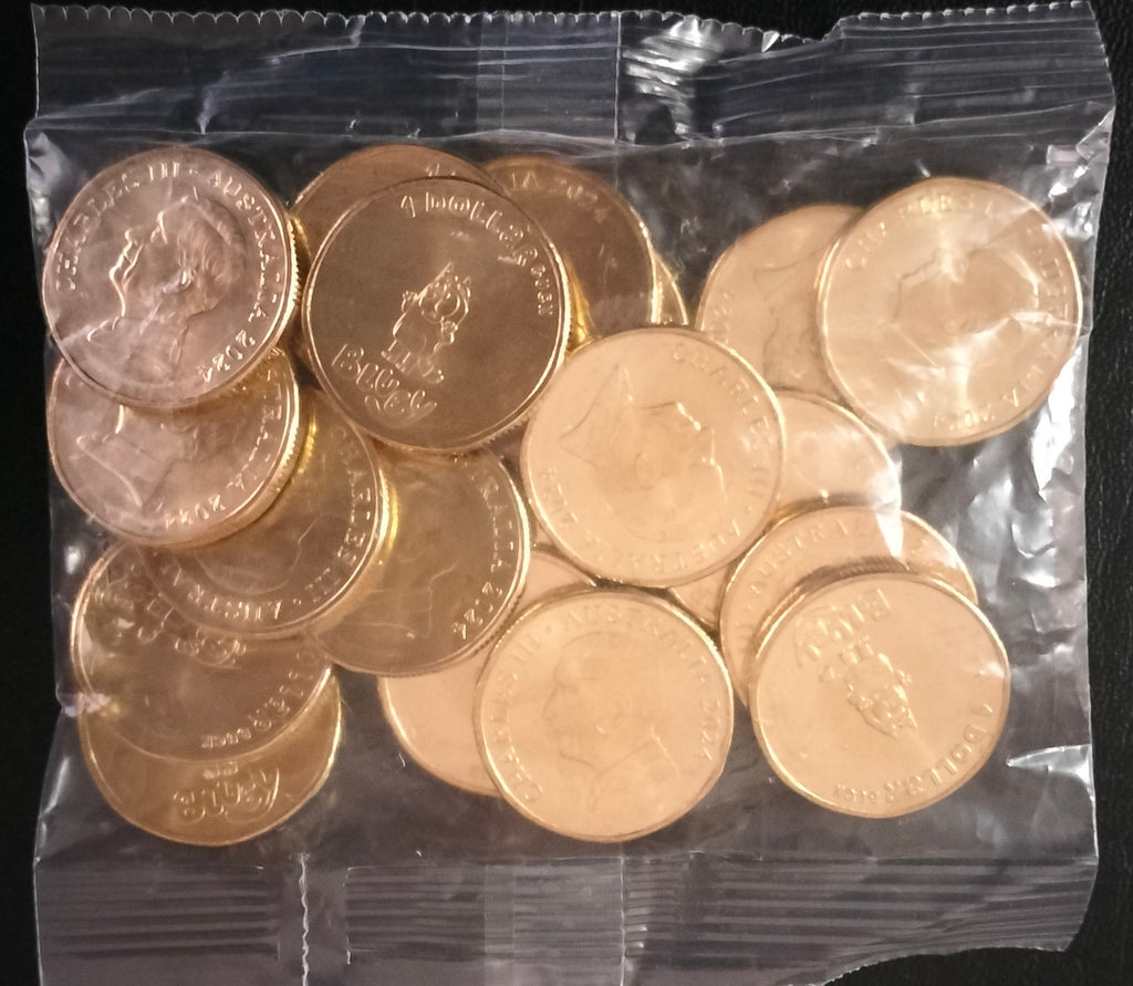 2024 BINGO Coin bag