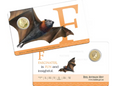 2015 $1 Coloured Frosted Uncirculated Coin Letter "F"