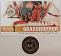 2014 $1 Bright Bugs - Leichhardt's Grasshopper Uncirculated Coin on Card