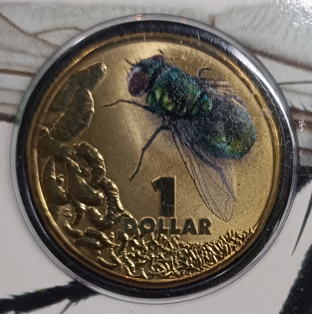 2014 $1 Bright Bugs - Blow Fly Uncirculated Coin on Card